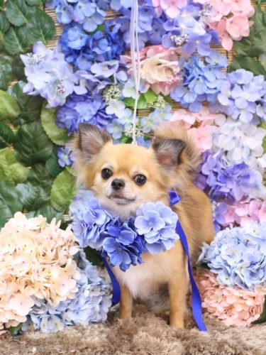 20250601れおくん